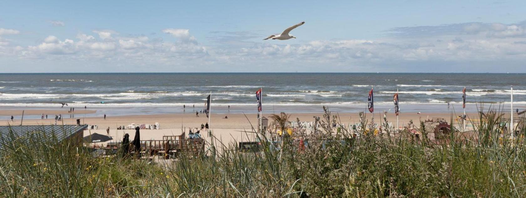 Beach&Dunes Apartment Zandvoort Exteriér fotografie