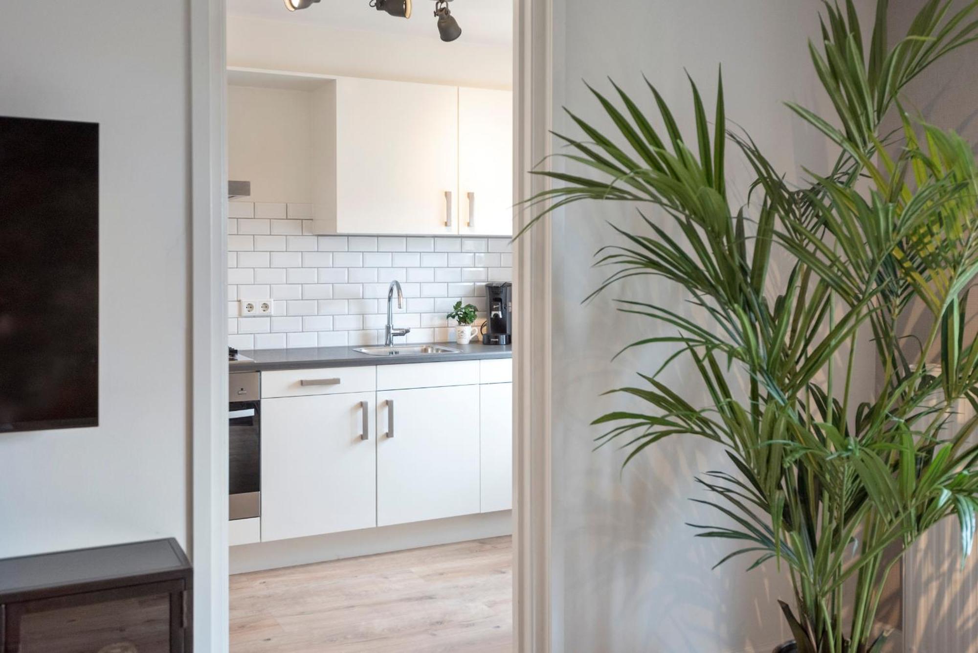 Beach&Dunes Apartment Zandvoort Exteriér fotografie