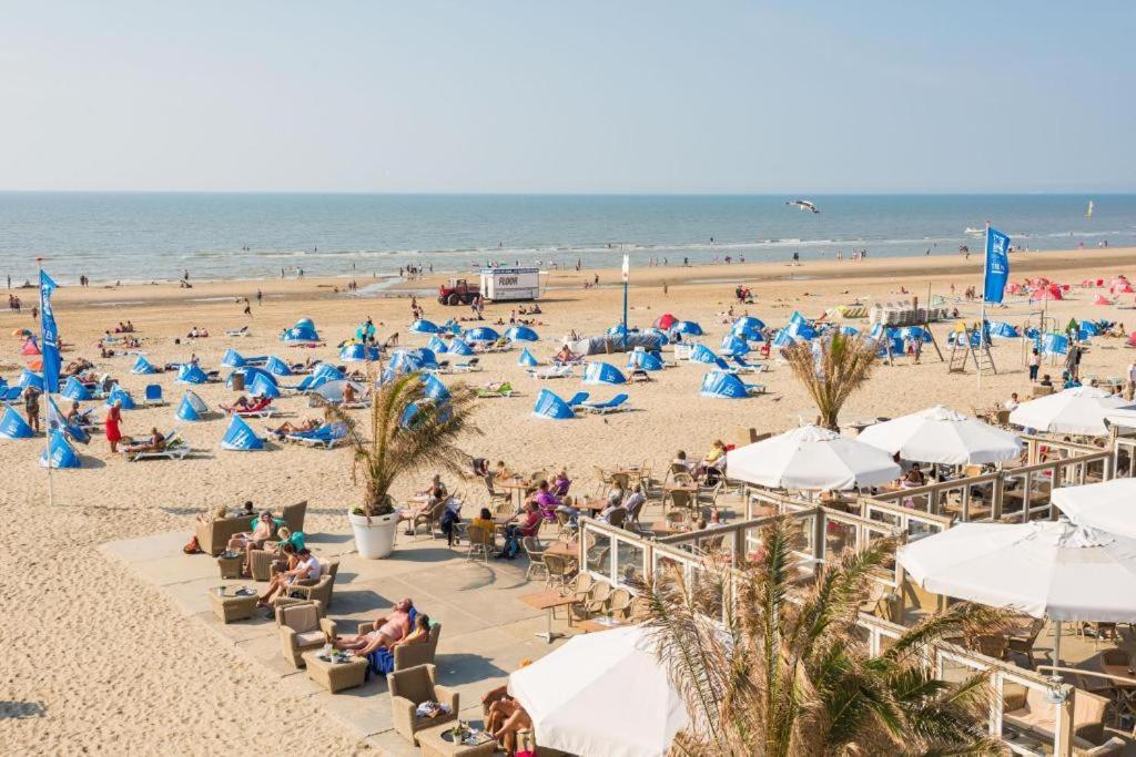 Beach&Dunes Apartment Zandvoort Exteriér fotografie